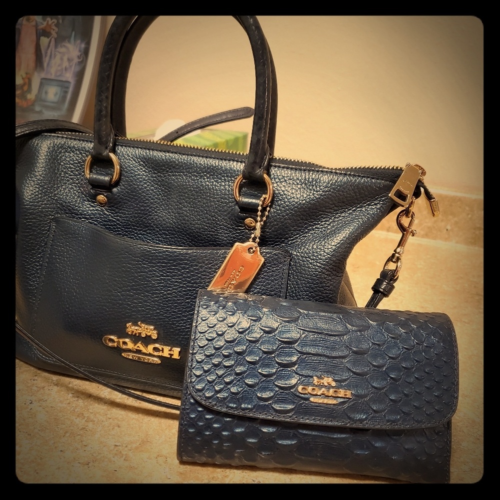 Coach purse and wallet set